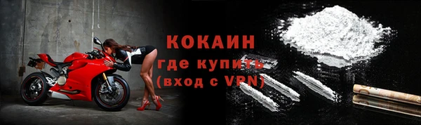 стаф Вязьма