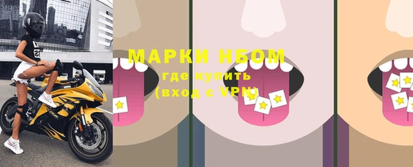 ПСИЛОЦИБИНОВЫЕ ГРИБЫ Горняк