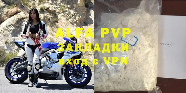 стаф Вязьма