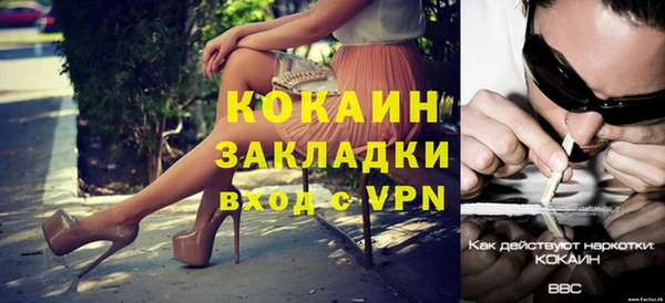 стаф Вязьма