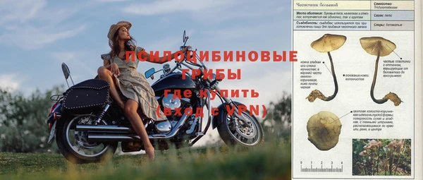 ПСИЛОЦИБИНОВЫЕ ГРИБЫ Горняк