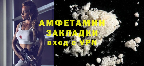 стаф Вязьма