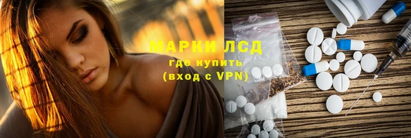 стаф Вязьма