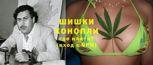 стаф Вязьма
