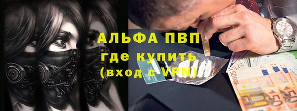стаф Вязьма