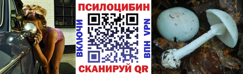Галлюциногенные грибы Magic Shrooms  Дальнегорск 